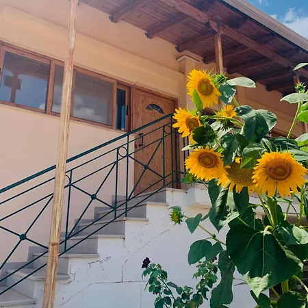 Ferienwohnung Bokas Exotic House Tragana  Exterior foto