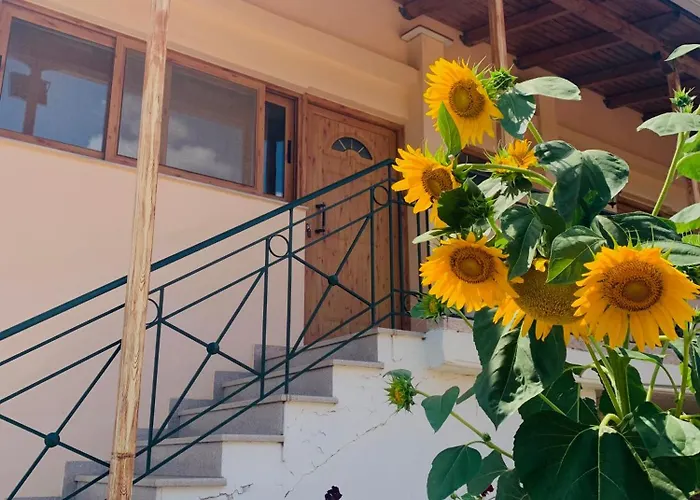 Bokas Exotic House