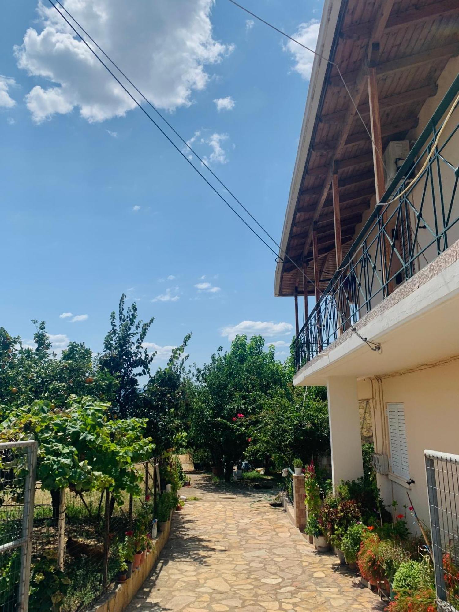 Apartmán Bokas Exotic House