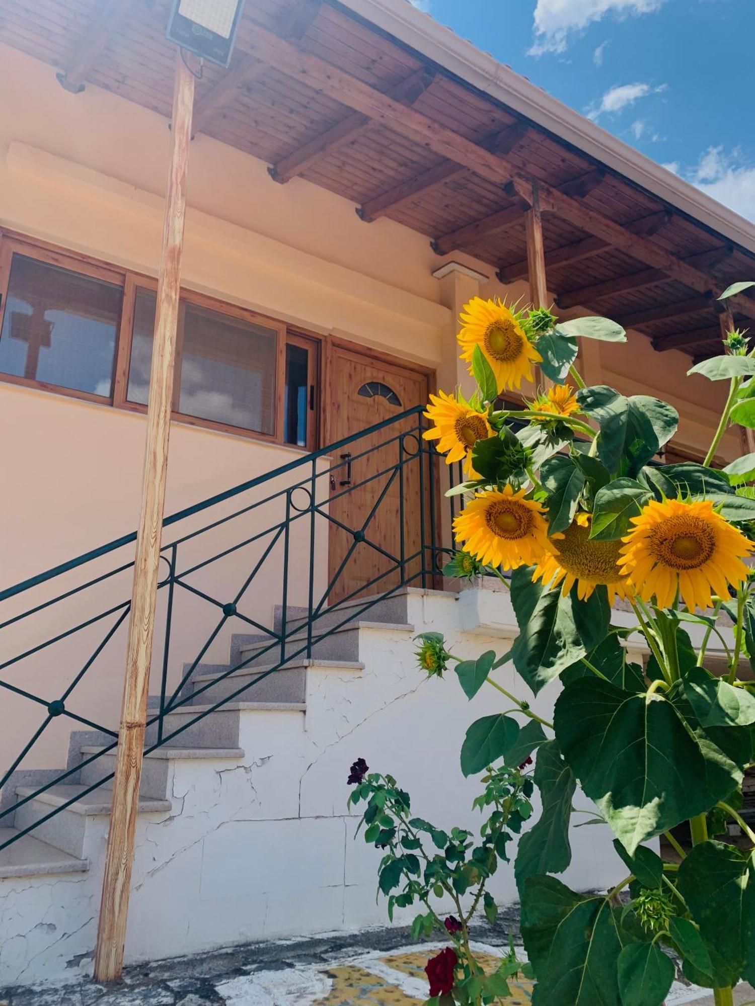 Bokas Exotic House Apartment
